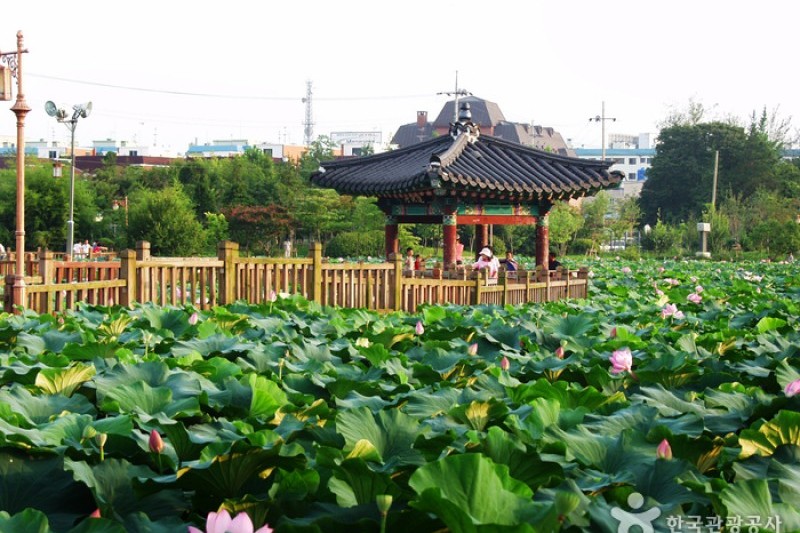 徳津公園 (11/18)