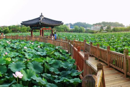 徳津公園