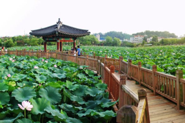 徳津公園