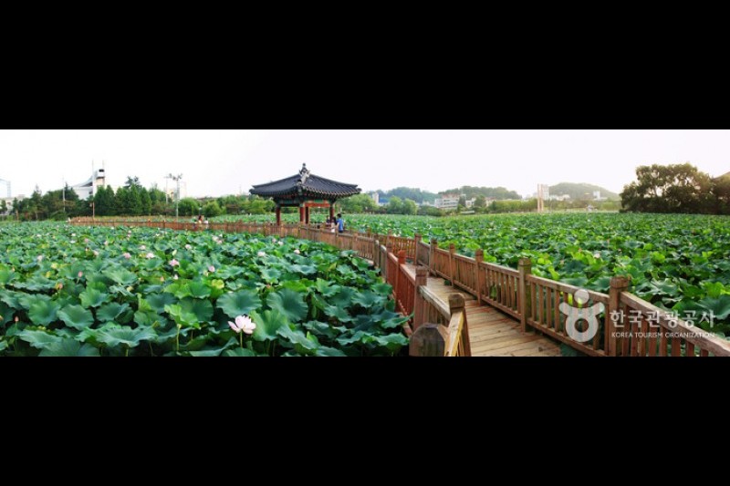 徳津公園 (12/18)