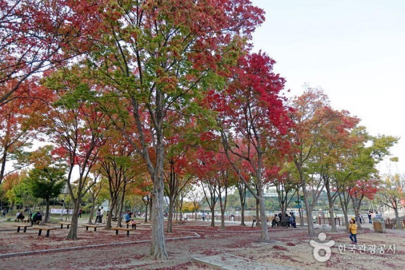 徳津公園 (15/18)