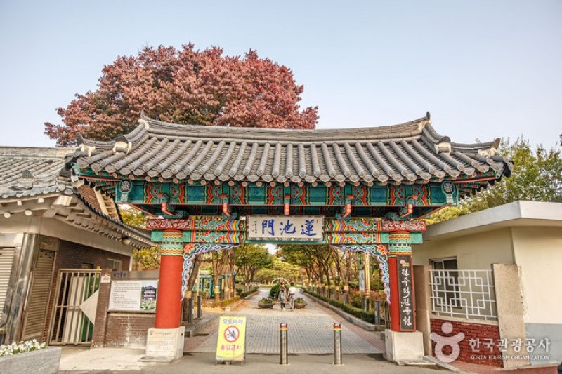 徳津公園 (18/18)
