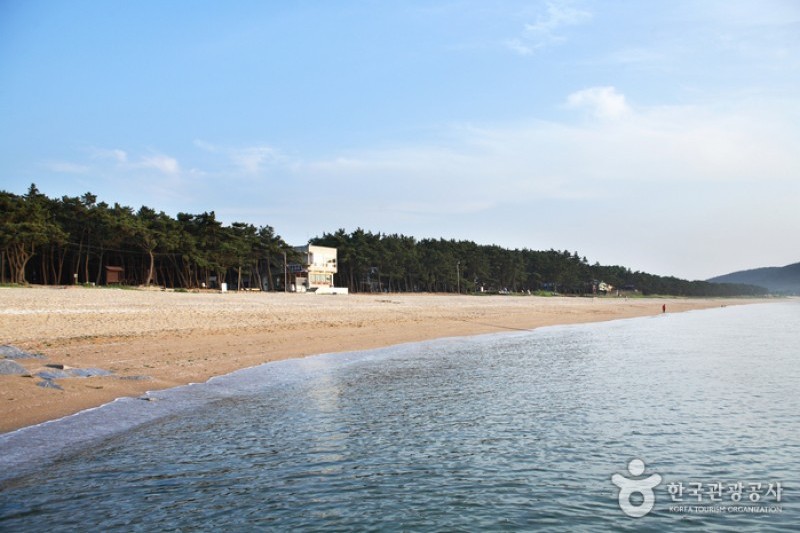 故沙浦海水浴場 (20/20)