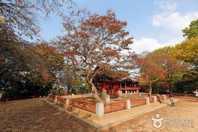 梧木台と梨木台 (12/13)