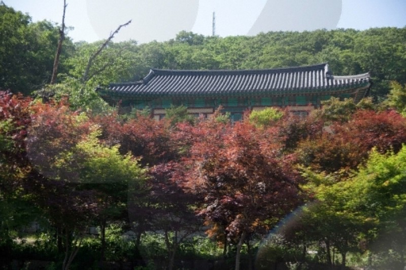 安国寺（茂朱）（안국사 (2/9)