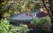 安国寺（茂朱）（안국사