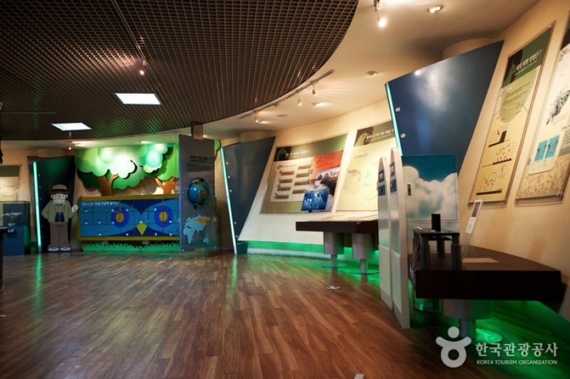 錦江渡り鳥展望台 (2/3)