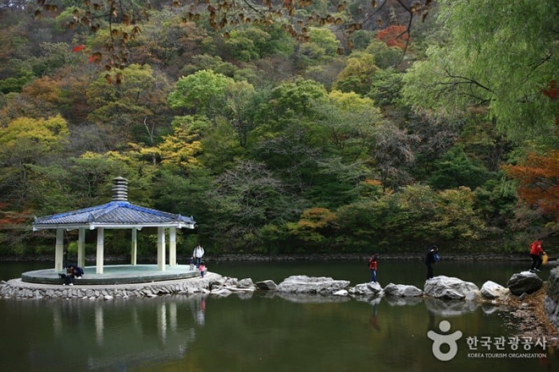 羽化亭（内蔵山）（우화정 (11/17)
