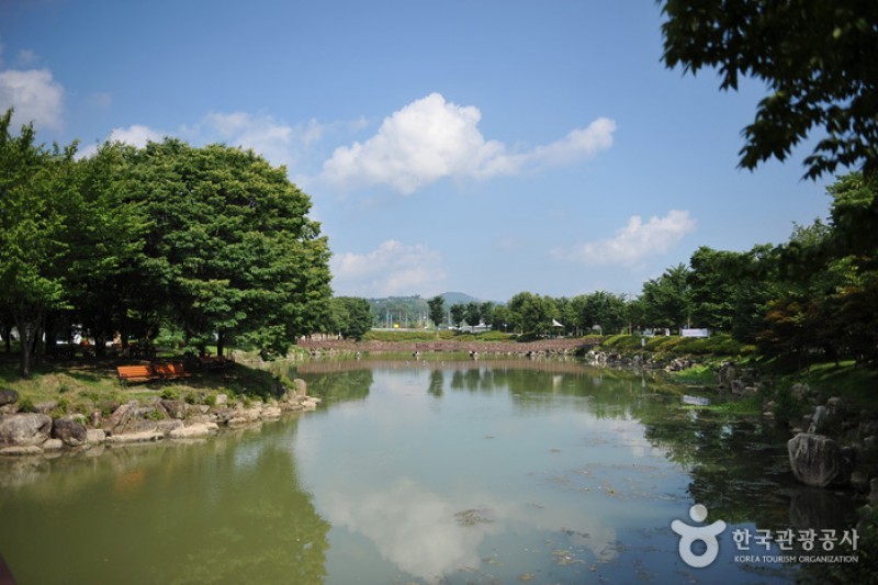 四仙台観光地＆彫刻公園 (5/14)