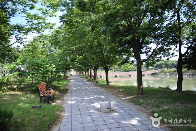 四仙台観光地＆彫刻公園 (6/14)