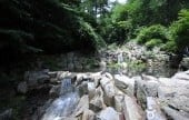国立徳裕山自然休養林