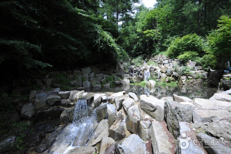国立徳裕山自然休養林 (1/19)