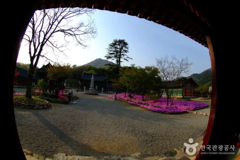 松広寺 (13/15)