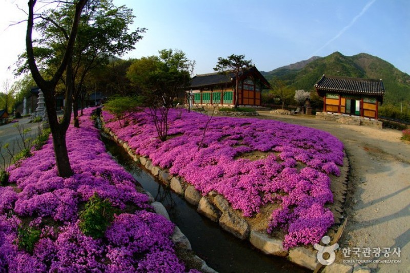 松広寺 (14/15)