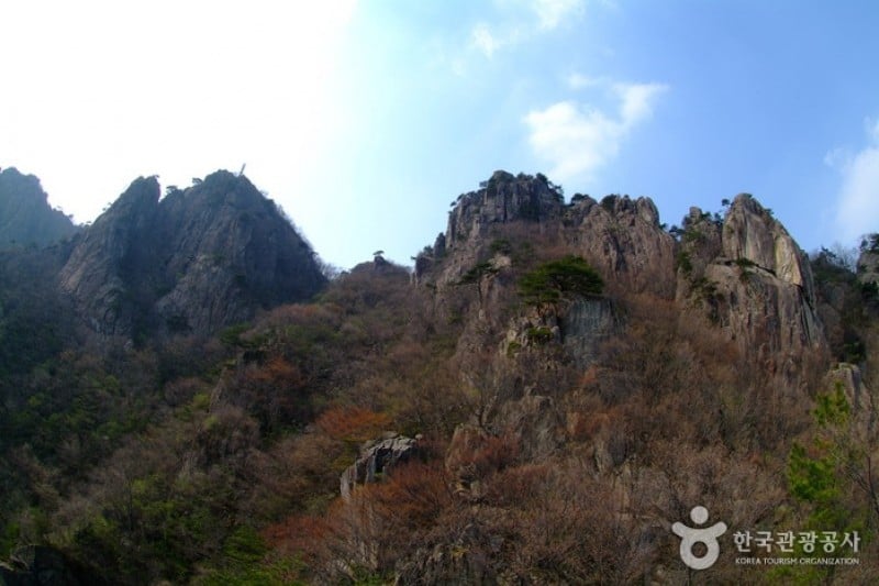 大芚山道立公園 (1/13)