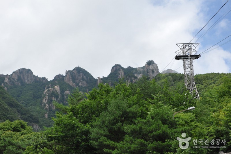 大芚山道立公園 (5/13)