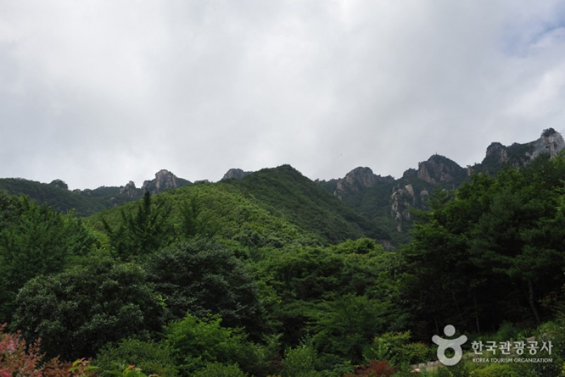 大芚山道立公園 (6/13)