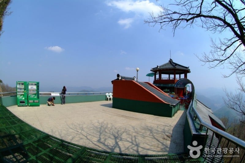 大芚山道立公園 (8/13)