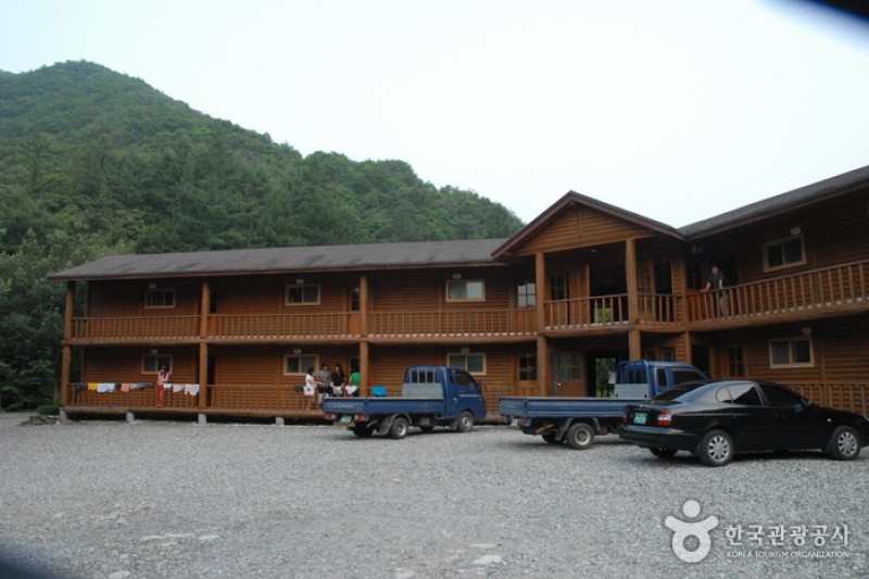 高山自然休養林 (1/23)