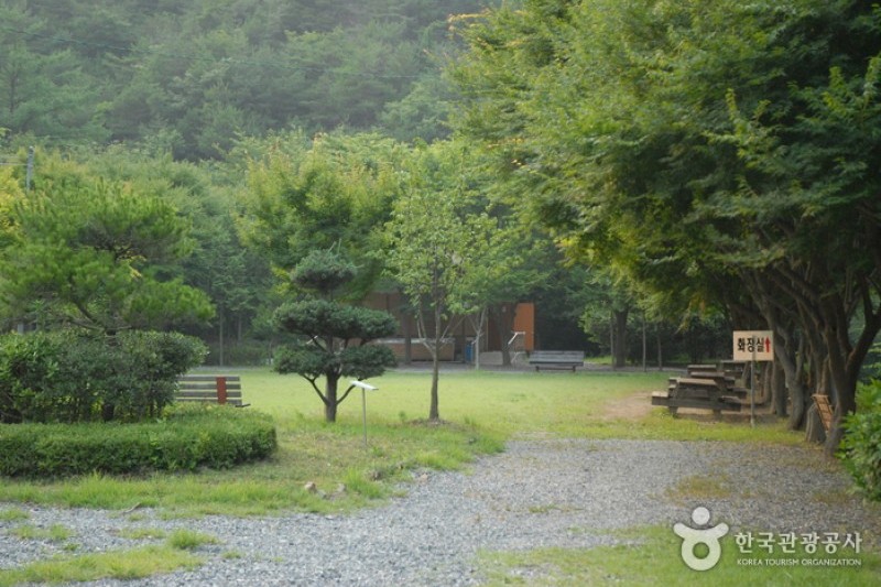 高山自然休養林 (4/23)