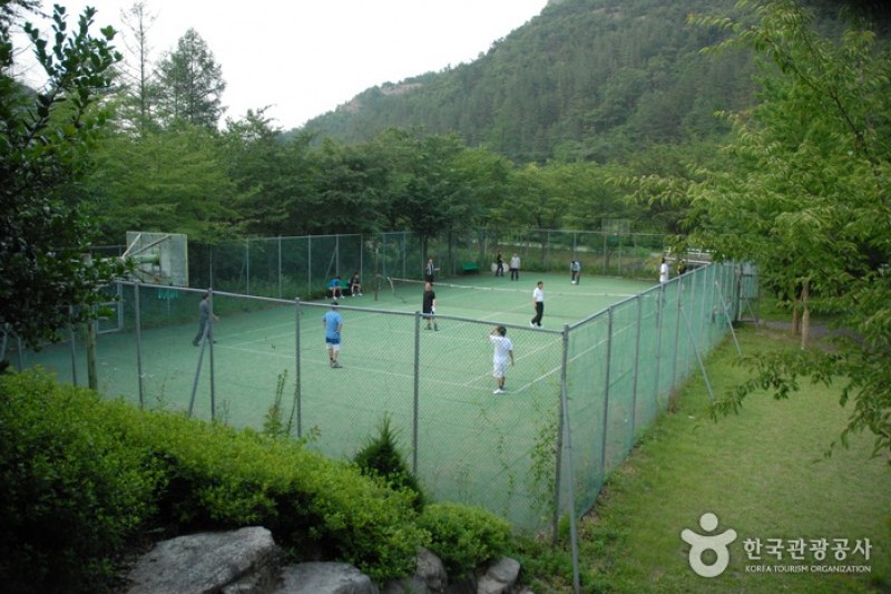 高山自然休養林 (5/23)