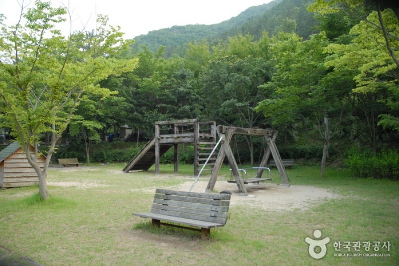 高山自然休養林 (7/23)
