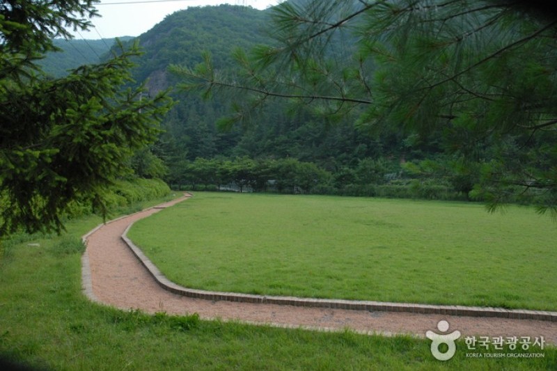 高山自然休養林 (15/23)