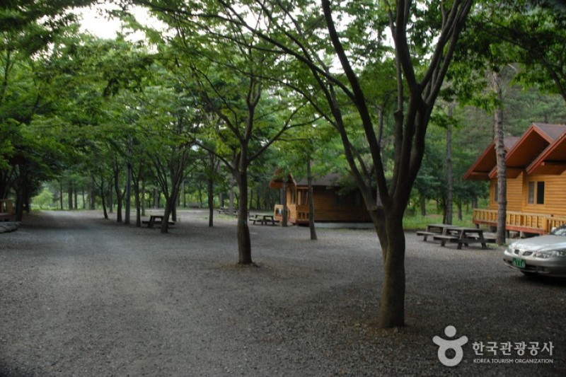 高山自然休養林 (17/23)