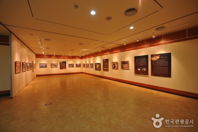 高敞支石墓博物館 (1/13)