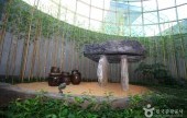 高敞支石墓博物館