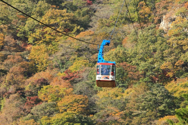 内蔵山ケーブルカー(내장산 케이블카) (8/43)