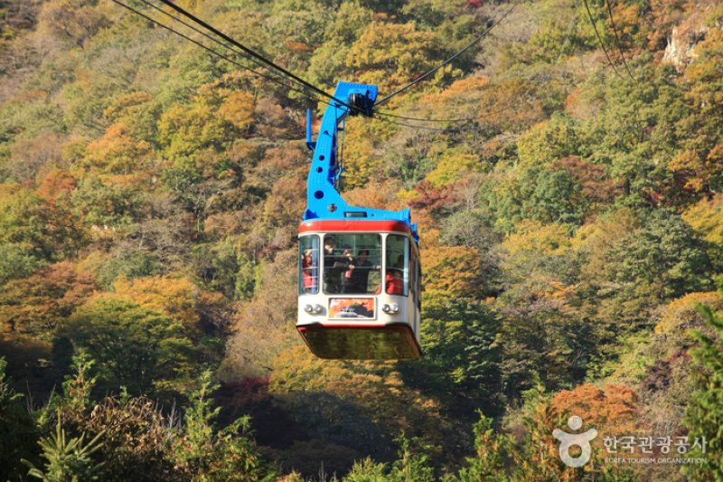 内蔵山ケーブルカー(내장산 케이블카) (10/43)