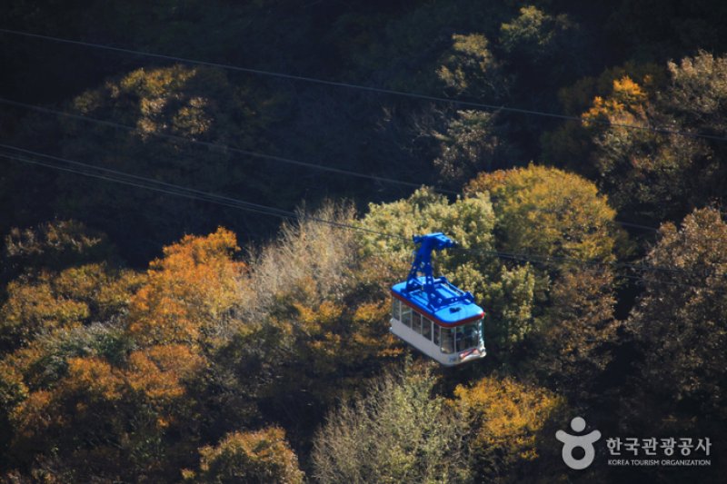 内蔵山ケーブルカー(내장산 케이블카) (14/43)