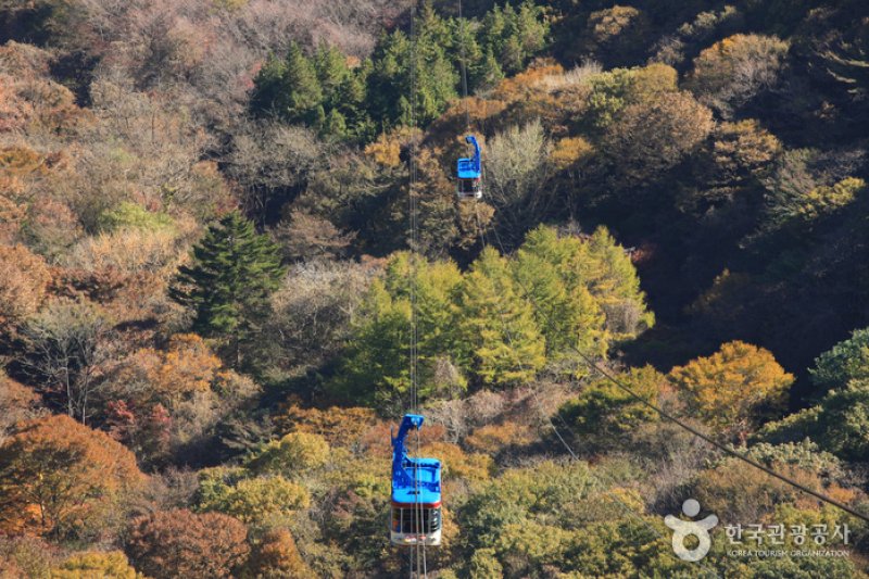 内蔵山ケーブルカー(내장산 케이블카) (18/43)