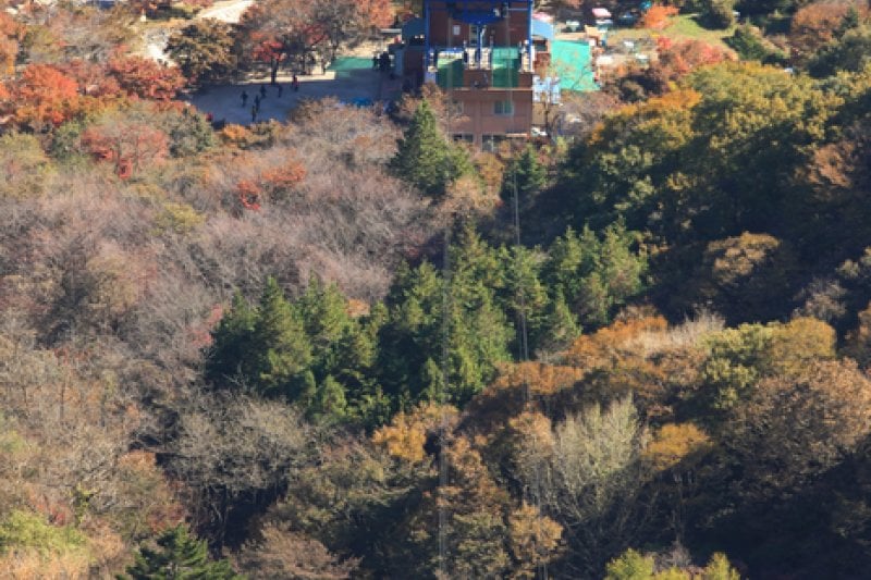 内蔵山ケーブルカー(내장산 케이블카) (20/43)