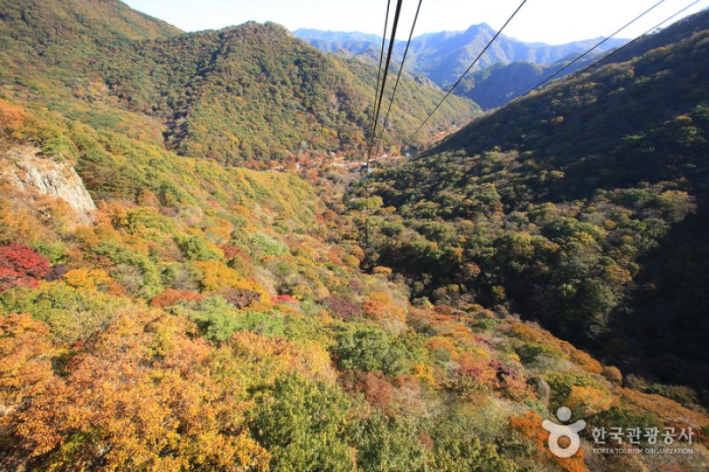 内蔵山ケーブルカー(내장산 케이블카) (25/43)