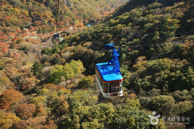 内蔵山ケーブルカー(내장산 케이블카) (28/43)