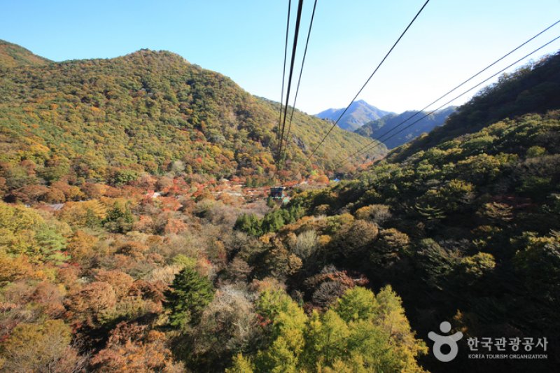 内蔵山ケーブルカー(내장산 케이블카) (29/43)
