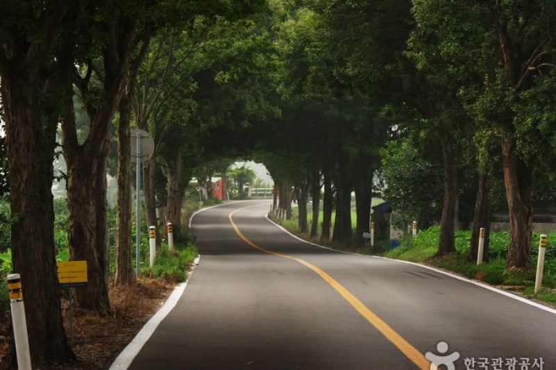 母岳山道立公園 (1/3)