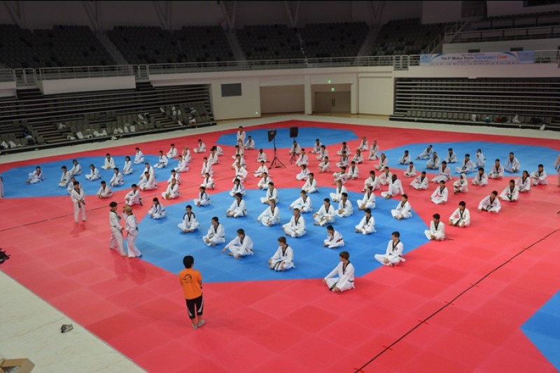 国立テコンドー園 (3/8)