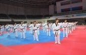 国立テコンドー園