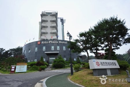 リッツプラザホテル