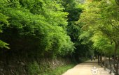 剛泉山郡立公園