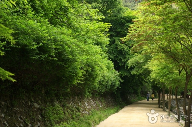 剛泉山郡立公園 (1/11)