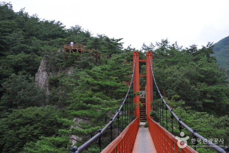 剛泉山郡立公園 (5/11)