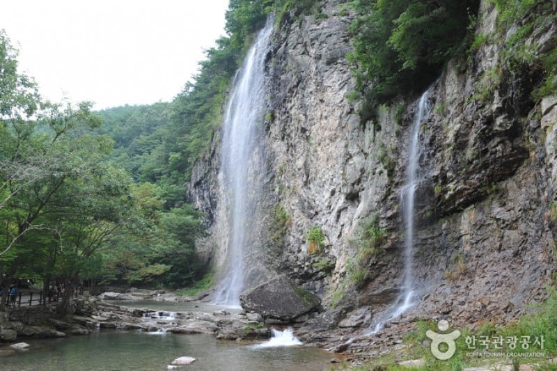 剛泉山郡立公園 (8/11)