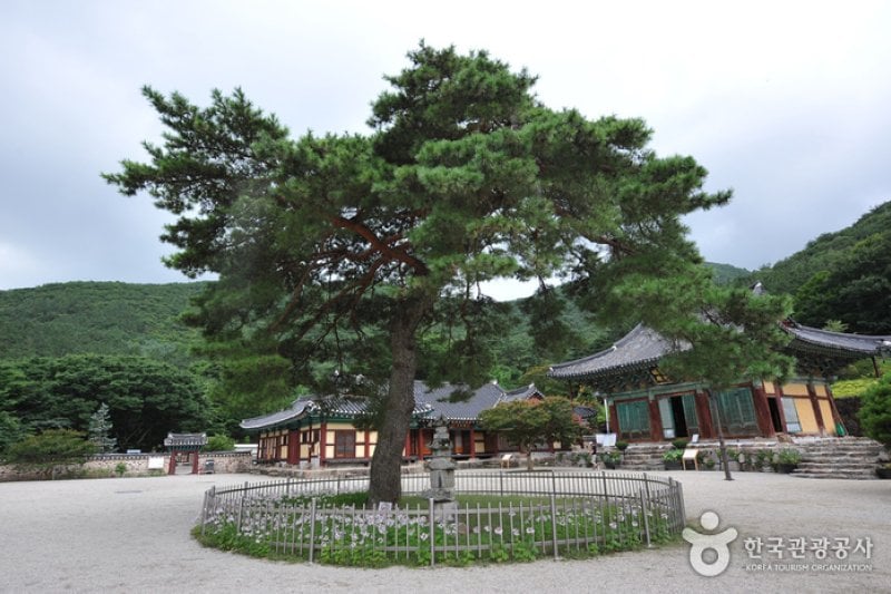 威鳳寺 (7/7)