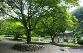剛泉寺