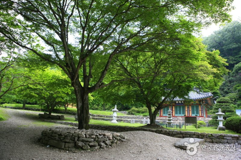 剛泉寺 (1/7)
