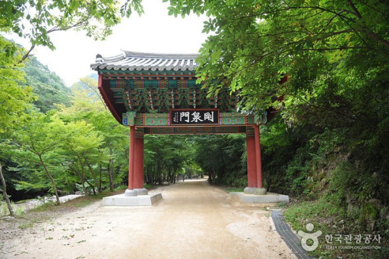 剛泉寺 (7/7)